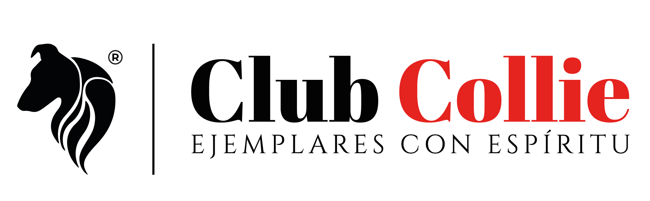 Cachorros Club Collie