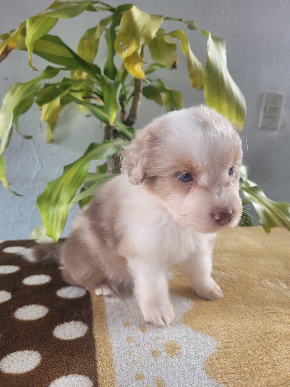 8b0b9bc4-1907-4060-b299-769a7aeb3b85