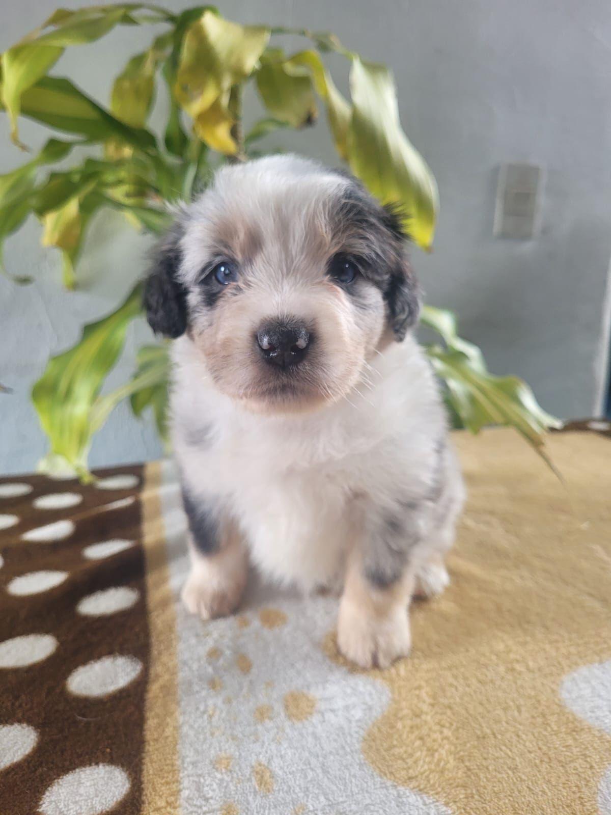 9f7a9bef-50f4-4e90-b8b1-885bf29d504c