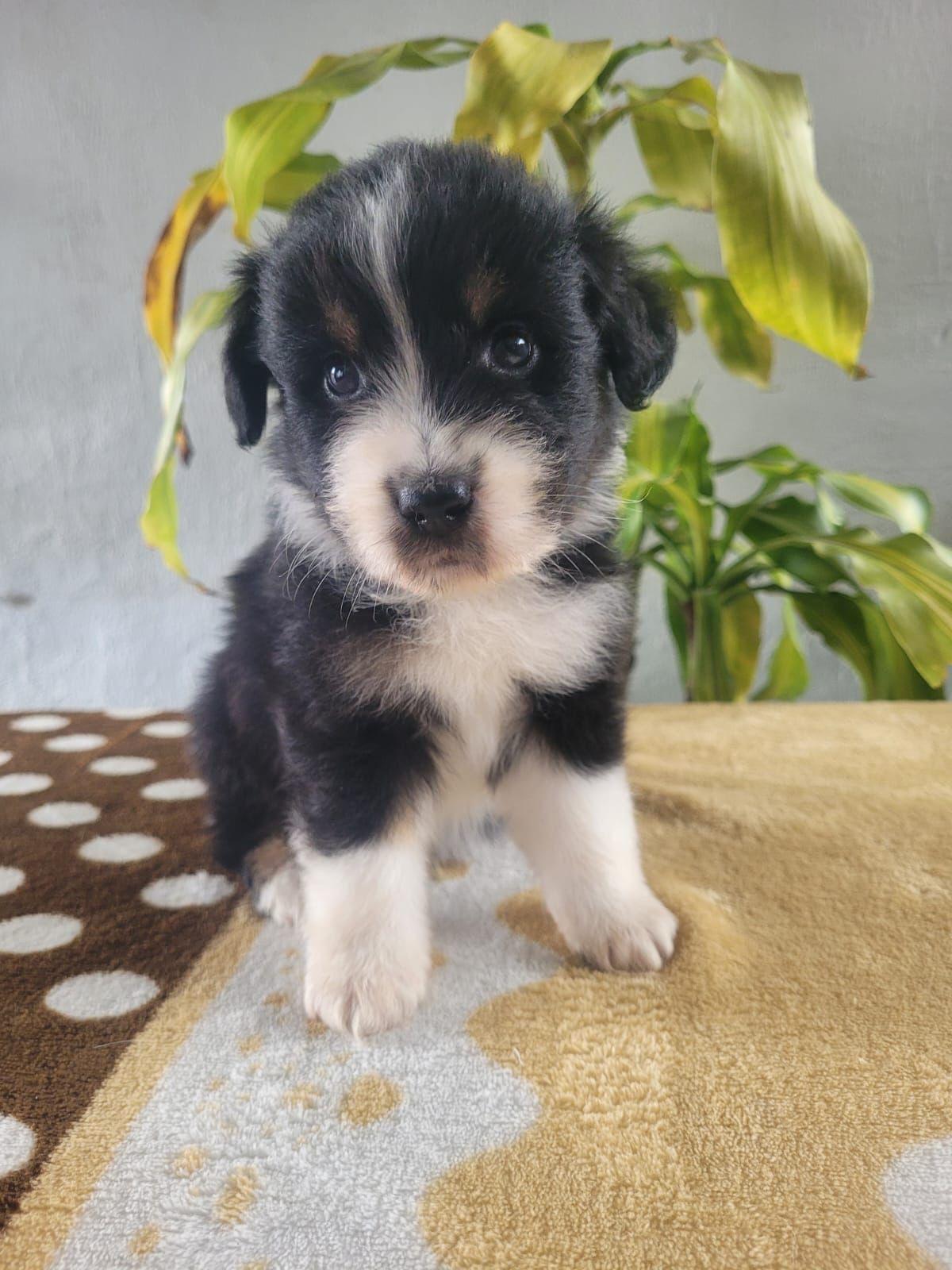 b62c19fc-7c61-4e88-a10e-063ef90d1eb4