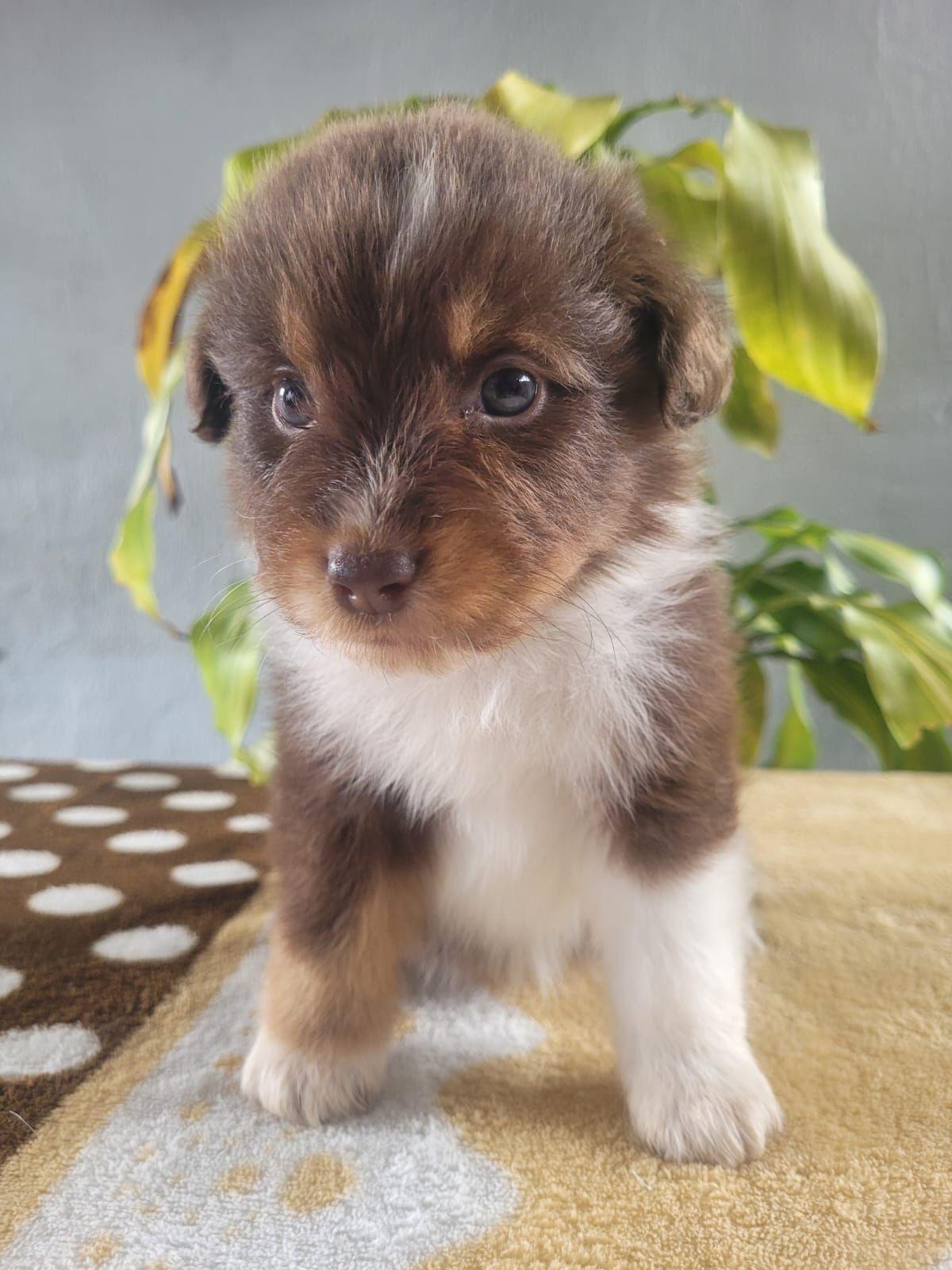 b8e0bf92-6571-4e5c-b0ac-81d731bf934f