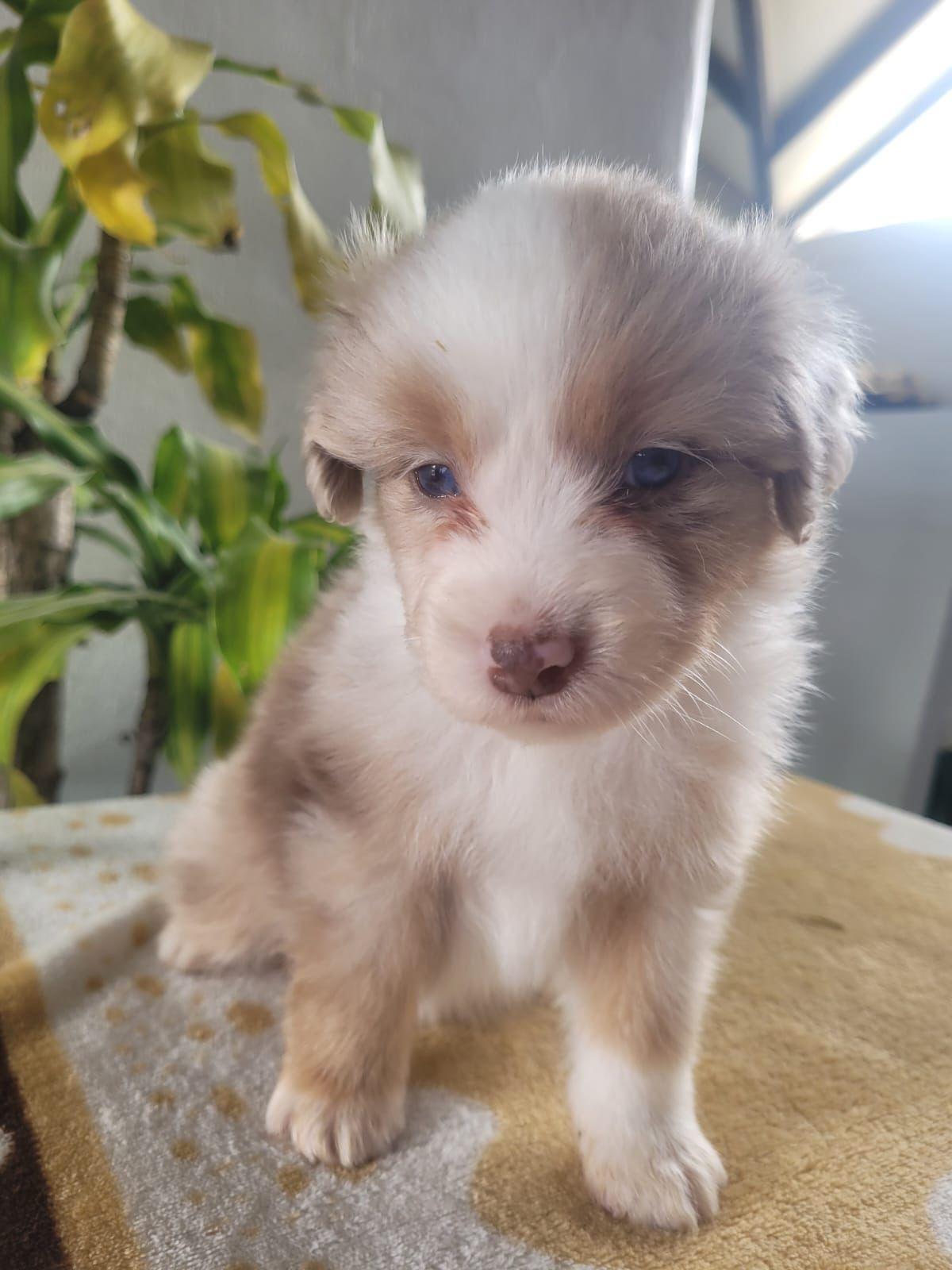 cfe2552f-8503-4074-a436-b4d919fc39cb